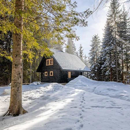 Goreljek Cosy Lodge Pokljuka المظهر الخارجي الصورة