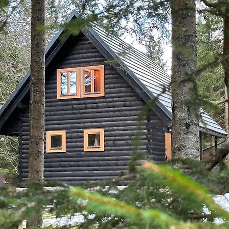 Cosy Lodge Pokljuka Goreljek المظهر الخارجي الصورة