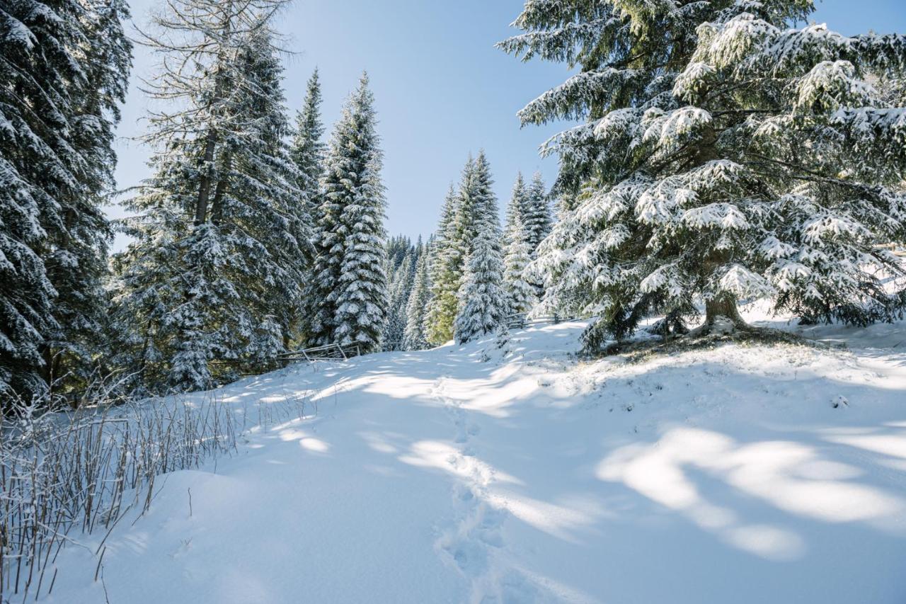 Goreljek Cosy Lodge Pokljuka المظهر الخارجي الصورة