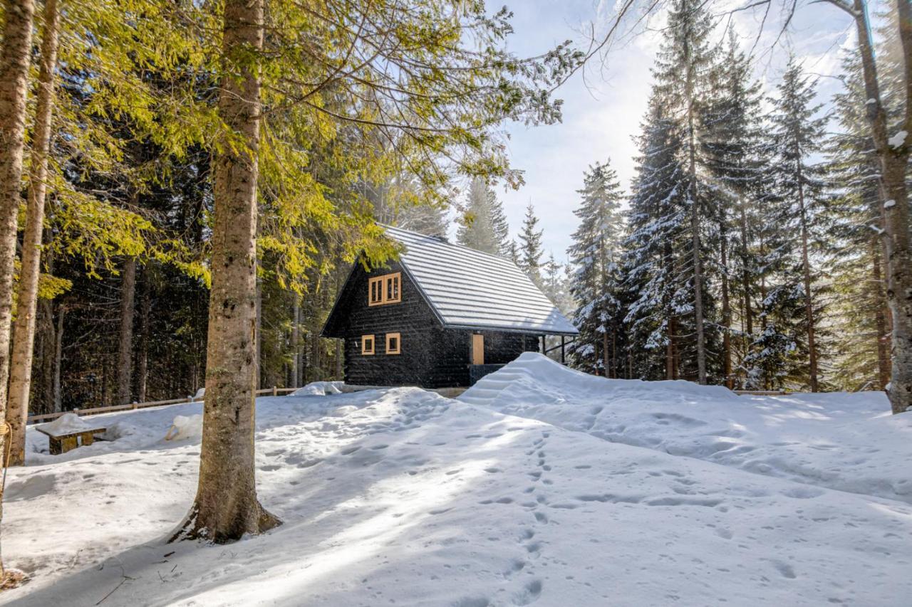 Goreljek Cosy Lodge Pokljuka المظهر الخارجي الصورة