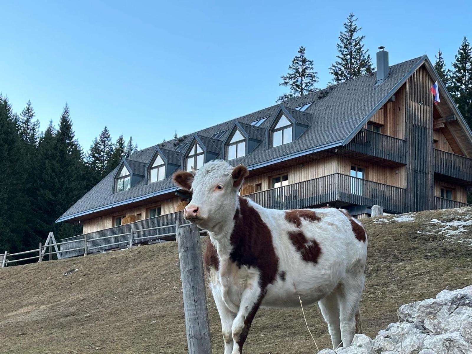Cosy Lodge Pokljuka Goreljek المظهر الخارجي الصورة