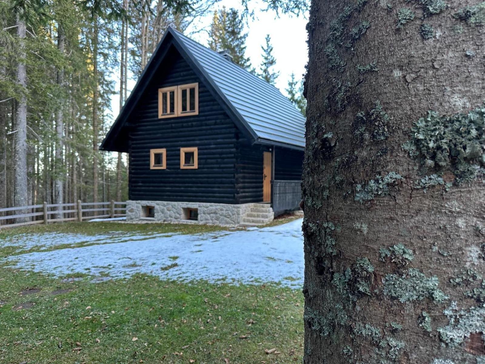Cosy Lodge Pokljuka Goreljek المظهر الخارجي الصورة