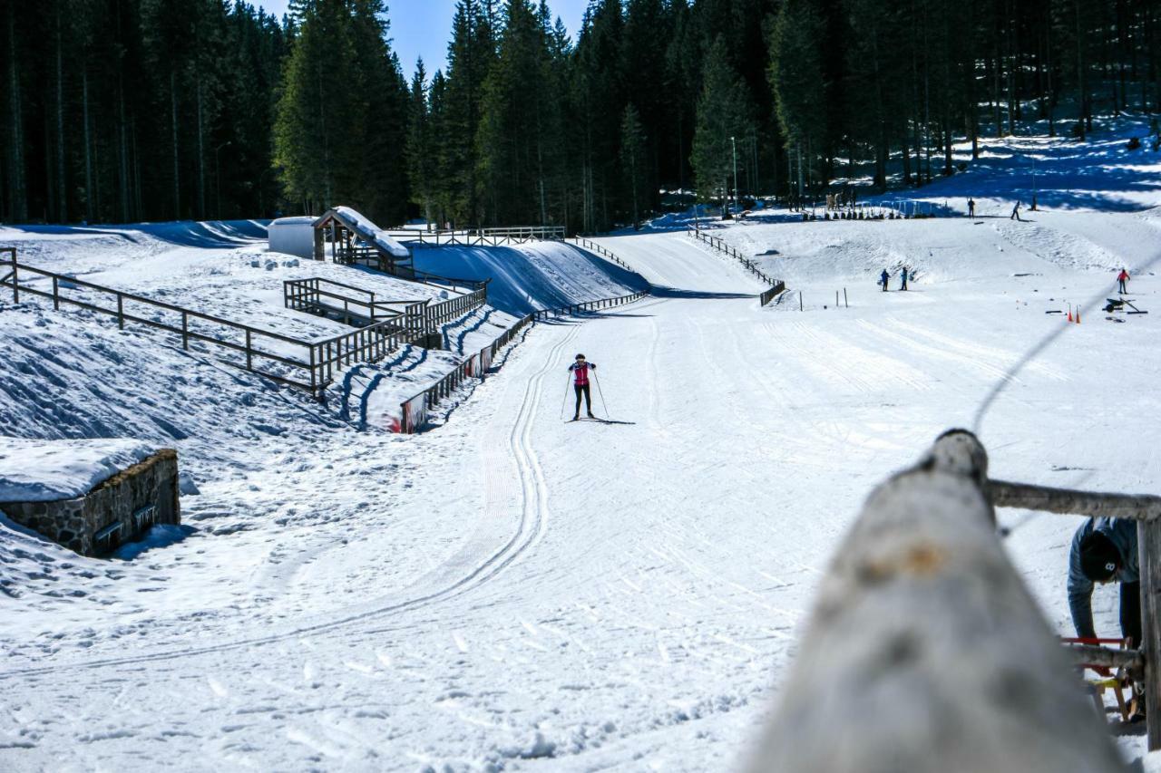 Goreljek Cosy Lodge Pokljuka المظهر الخارجي الصورة