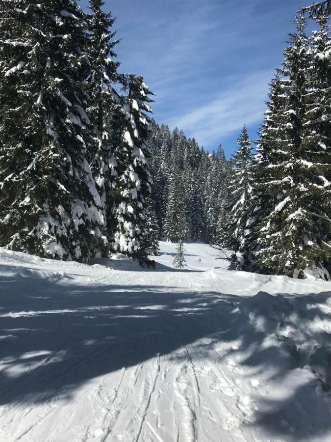 Goreljek Cosy Lodge Pokljuka المظهر الخارجي الصورة